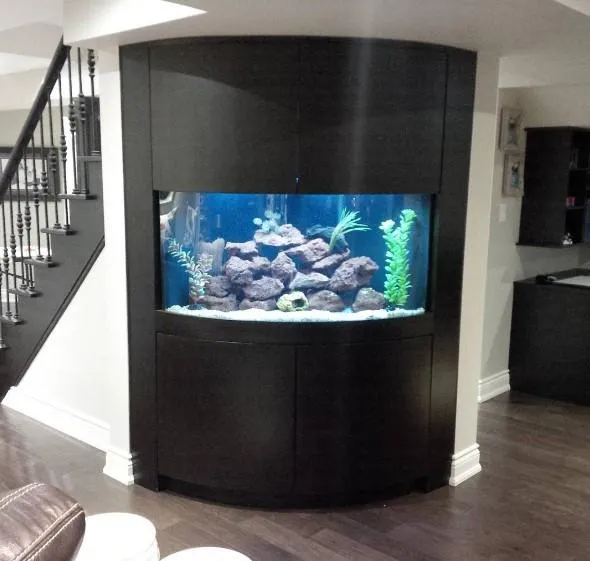 Розкішний акваріум Розкішний акваріум