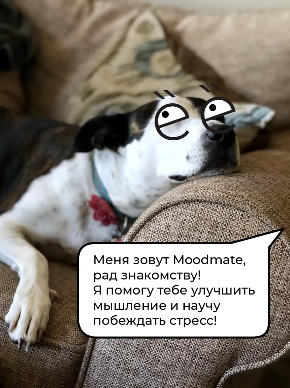 Новий чат бот Moodmate