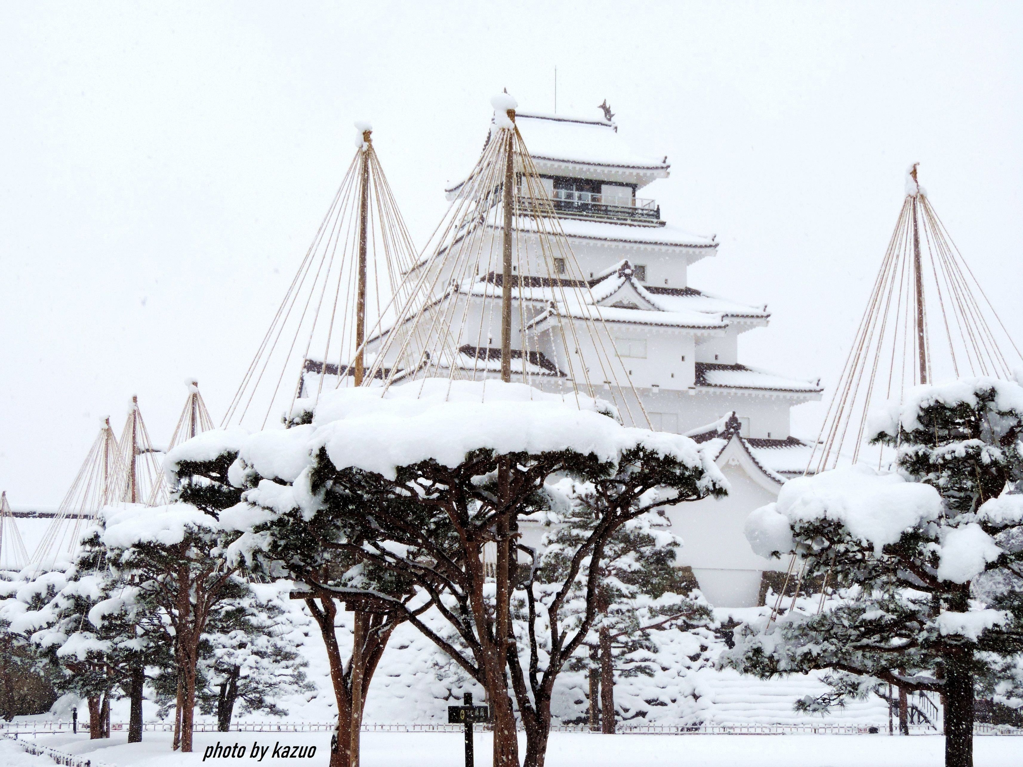 Японію засипало снігом: скасовані пів сотні авіарейсів – фото заметів 