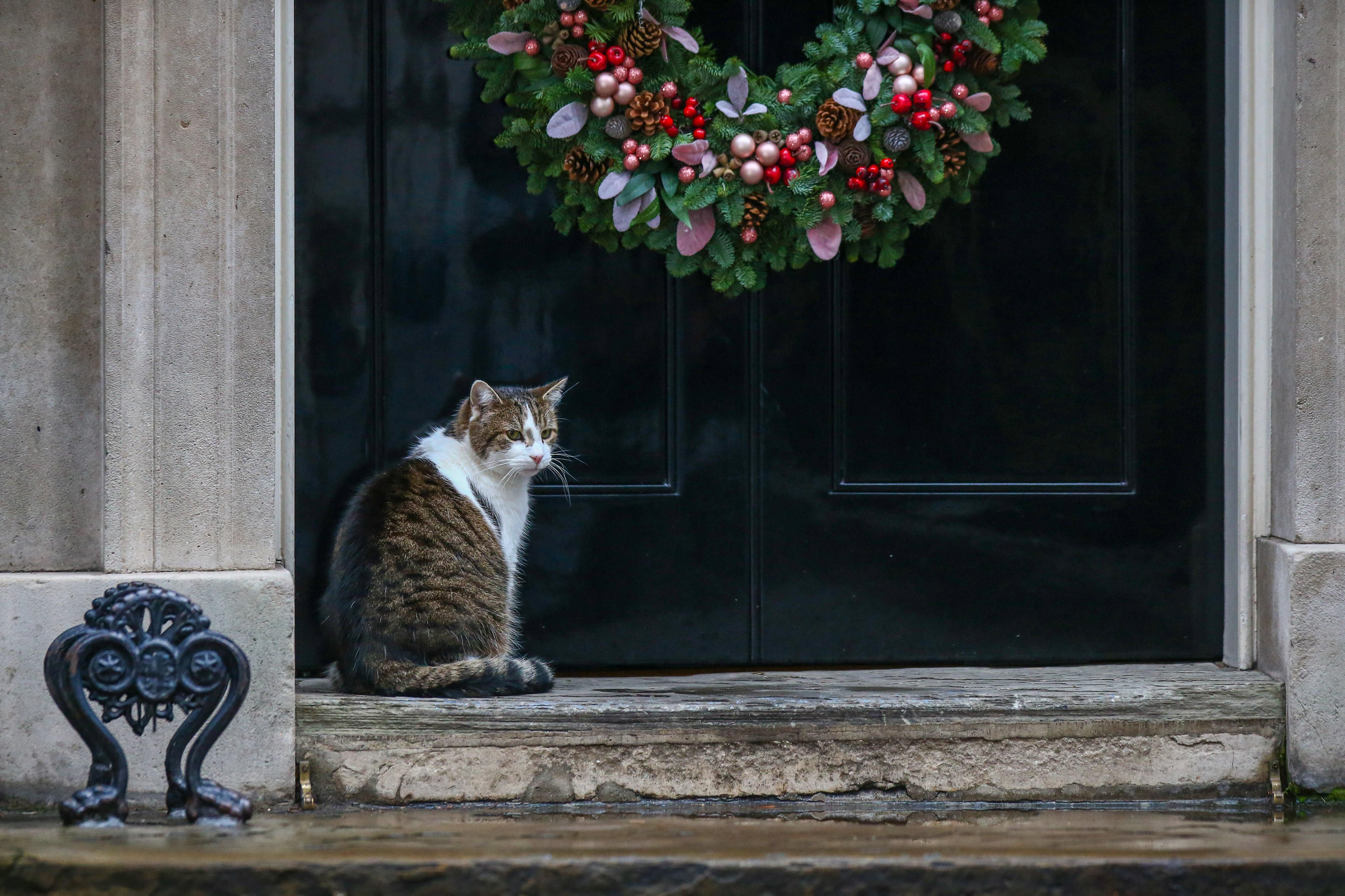 Погода 17 грудня 2020: прогноз від синоптиків України Погода 17 грудня 2020: прогноз від синоптиків України