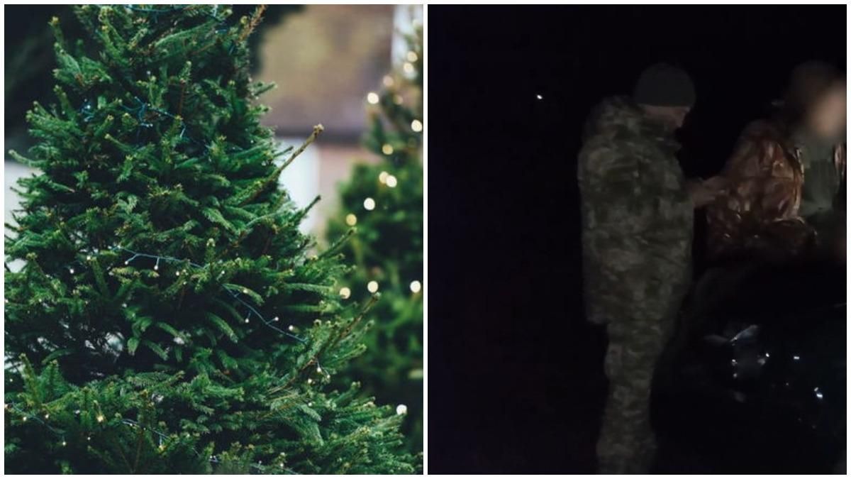 Крадені ялинки: як в Україні та Канаді намагалися заробити на свята Крадені ялинки: як в Україні та Канаді намагалися заробити на свята