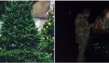 Краденые елки в домах: как в Украине и Канаде пытались заработать на зимние праздники