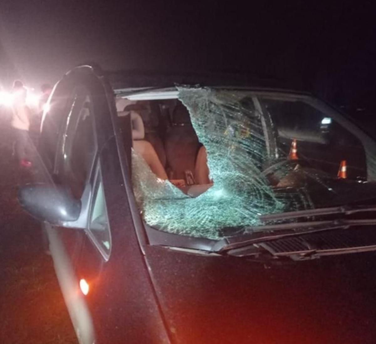 Перебігав дорогу і загинув: на Львівщині чоловіка збили одразу 2 автівки – фото