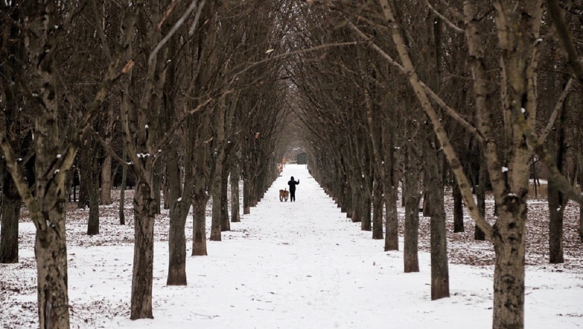 Погода 20 декабря 2020: прогноз от синоптиков Украины Погода 20 декабря 2020: прогноз от синоптиков Украины