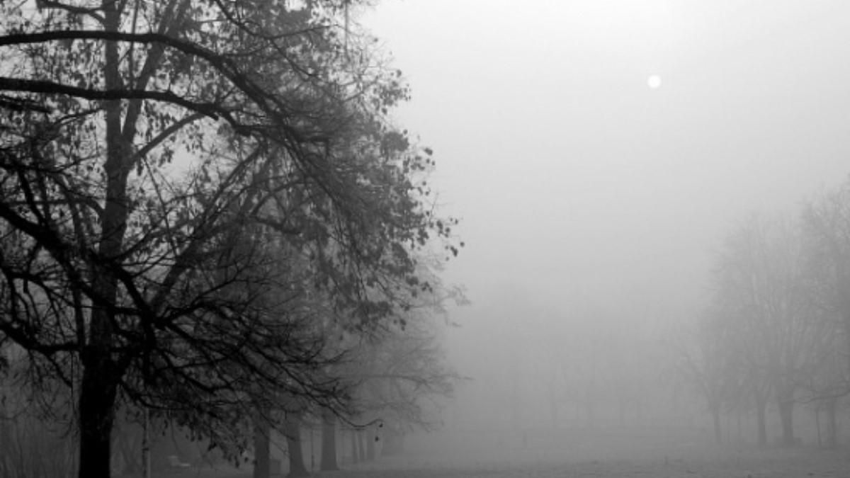 Україну огорнуть тумани: де буде погана видимість Україну огорнуть тумани: де буде погана видимість