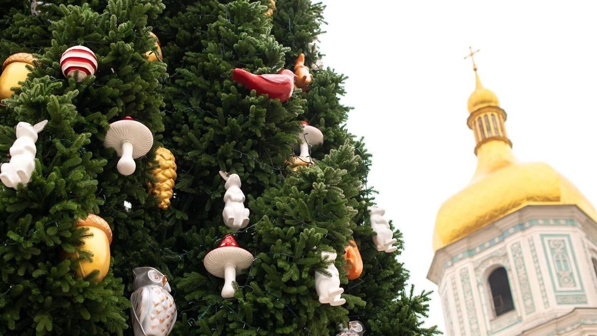 Где смотреть трансляцию зажжения новогодней елки в Киеве