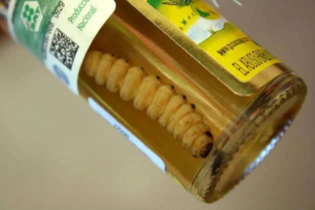 Мескаль Мескаль