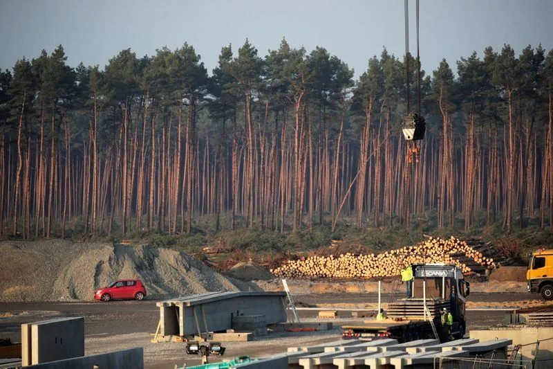 Суд Німеччини дозволив Tesla розчищати ліс