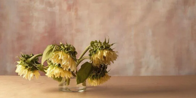 Флористи роблять композиції з квітами відповідного кольору