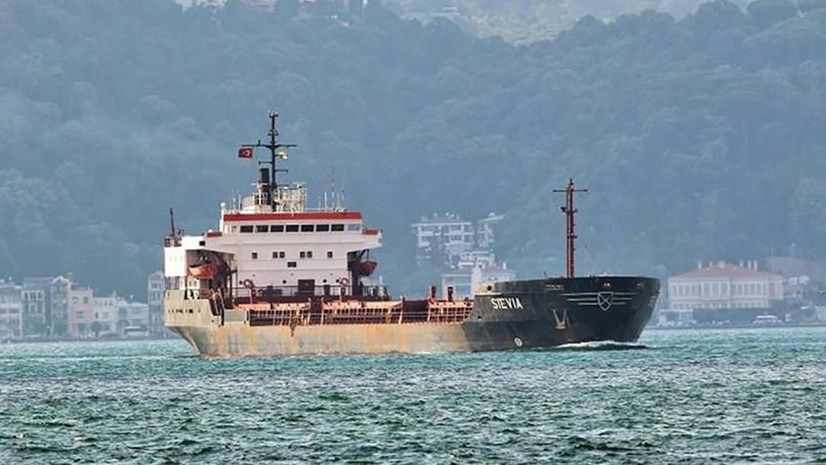 У берегов Нигерии пираты атаковали албанский сухогруз STEVIA и захватили в плен не менее 6 украинцев: что известно