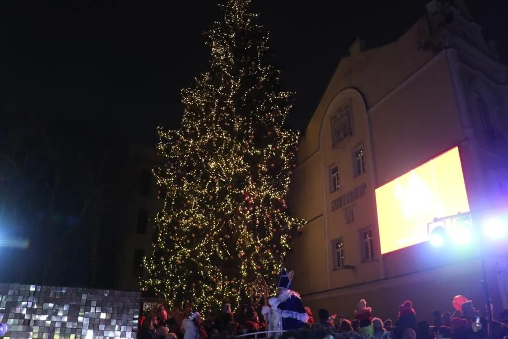 головна ялинка Житомира головна ялинка Житомира