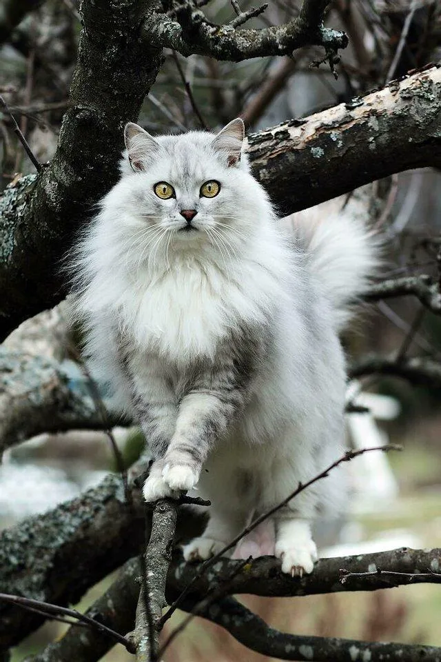 Вміти позувати Вміти позувати