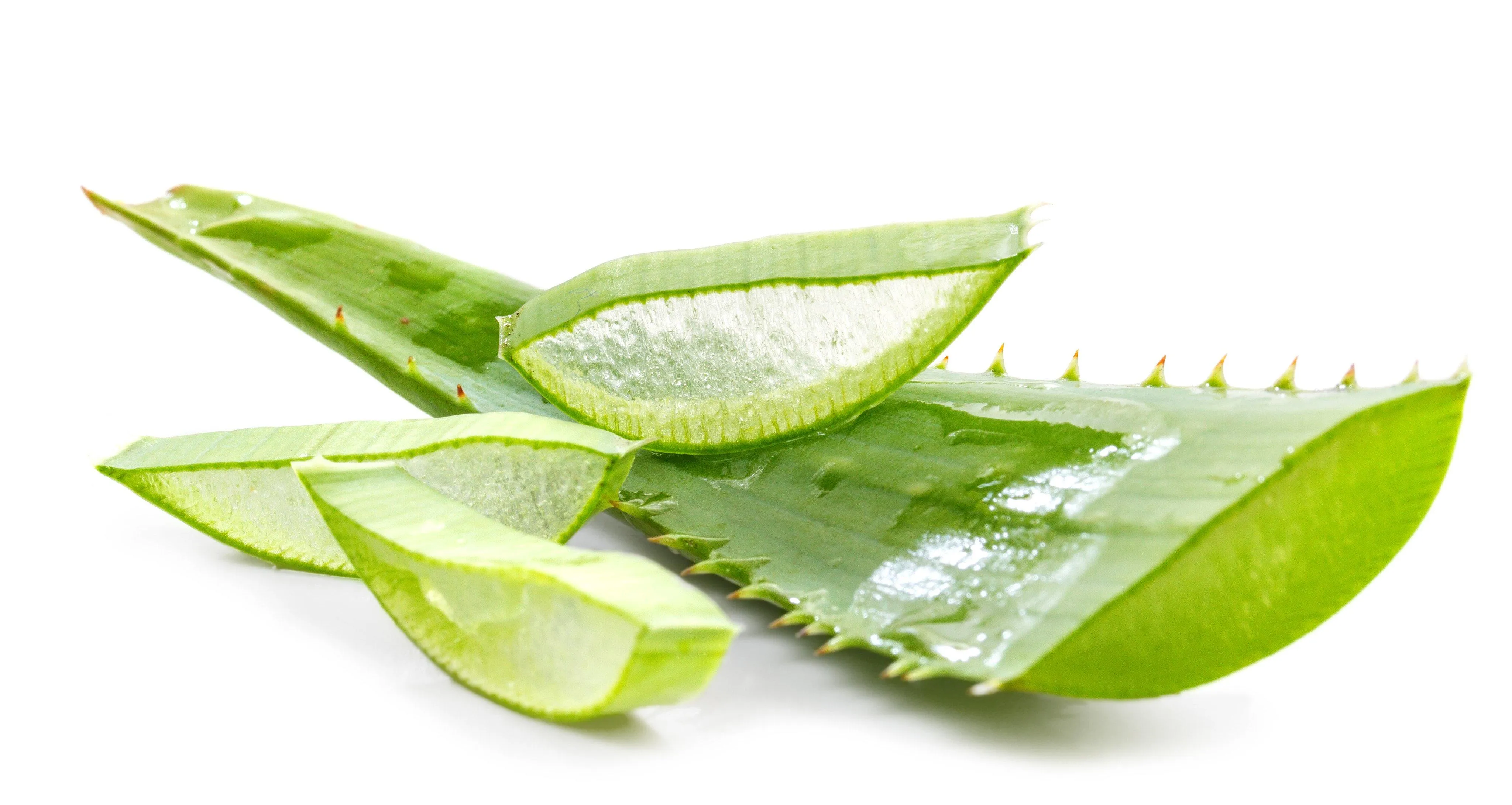 Aloe barbadensis leaf water