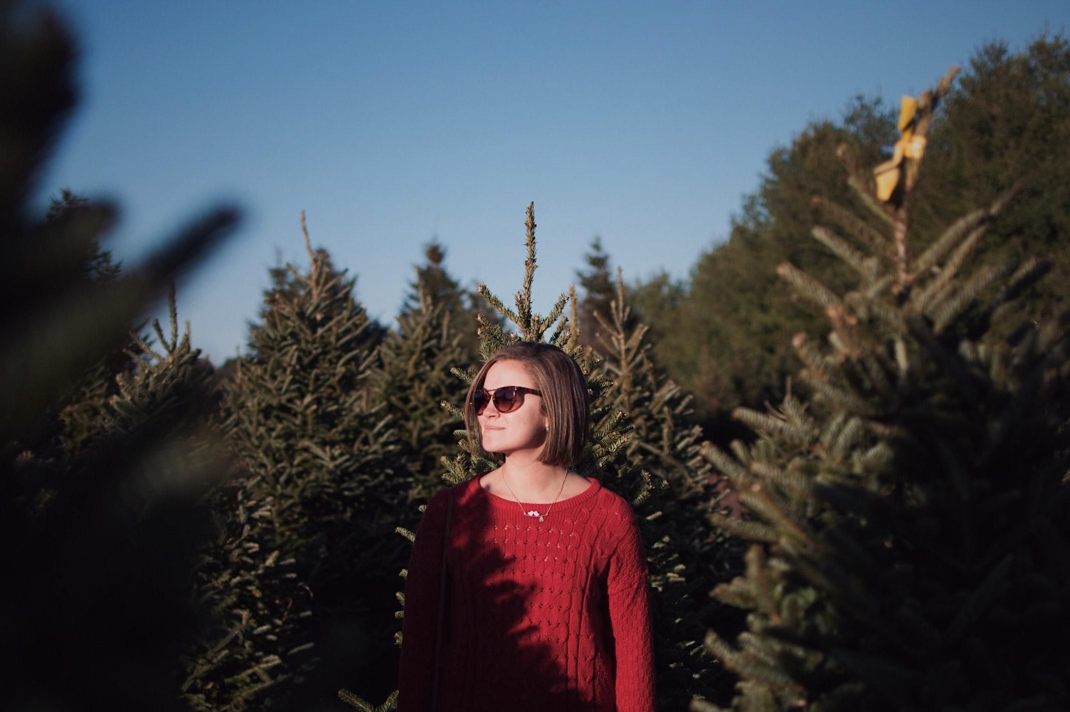 Елка-нелегалка: как правильно выбрать законное дерево на праздники
