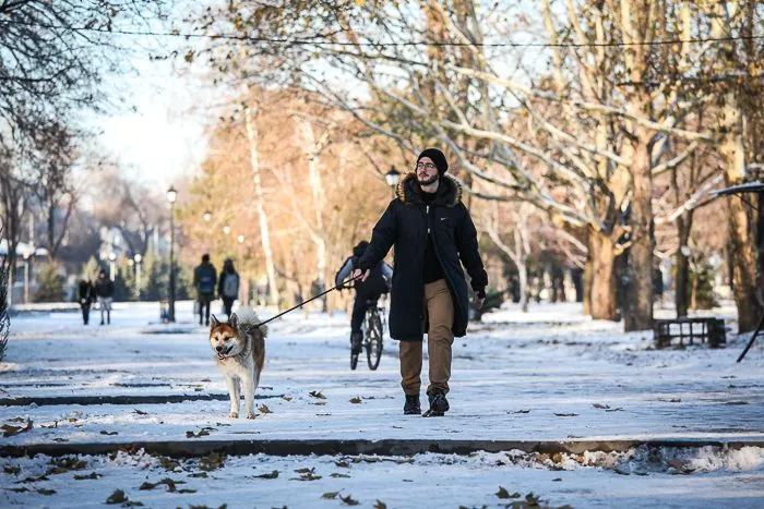 Гуляти - це корисно Гуляти - це корисно