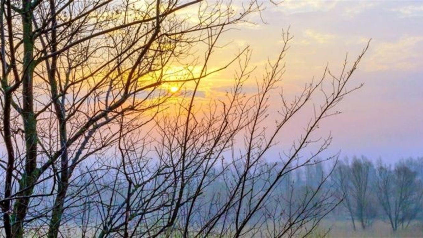 Погода 27 грудня 2020: прогноз від синоптиків України Погода 27 грудня 2020: прогноз від синоптиків України