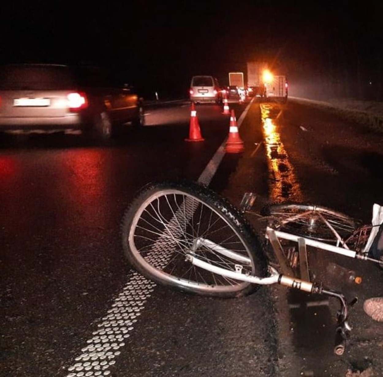 На Львівщині вантажівка на смерть збила велосипедиста: фото
