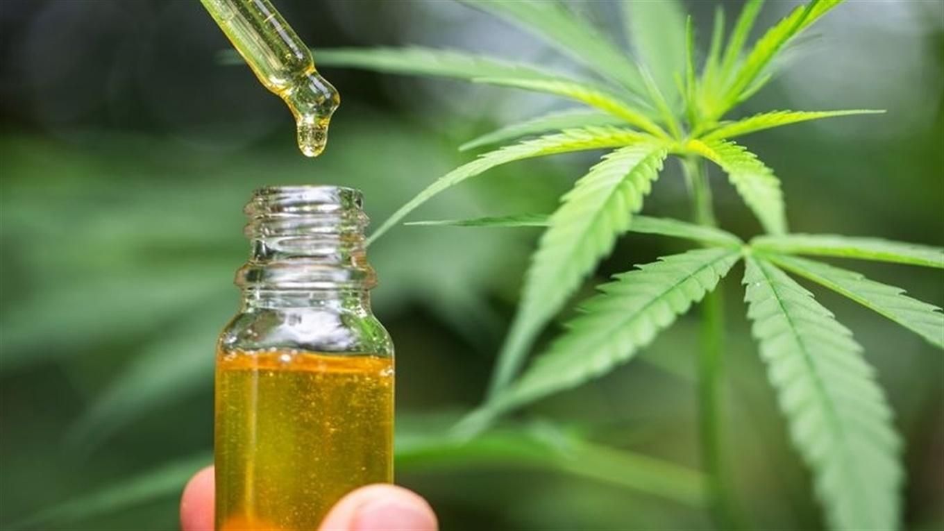 Два миллиона ждут этого с болью: что дает законопроект о медицинском каннабисе Два миллиона ждут этого с болью: что дает законопроект о медицинском каннабисе