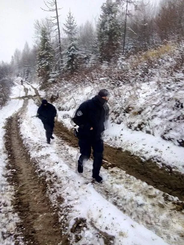 Погрожували розчавити: на Львівщині екоактивіста прив’язали до лісовоза та побили