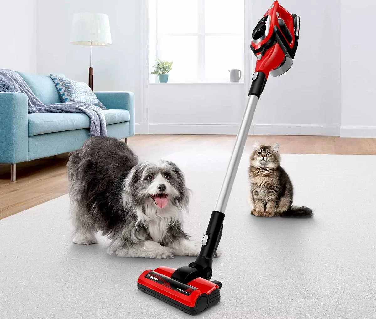 Тварини Тварини