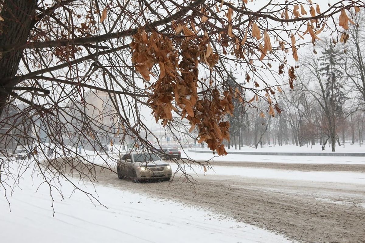 Потужний снігопад накрив Харків 25.12.2020: фото, відео