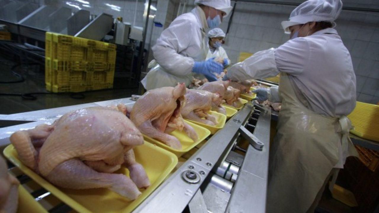 Пташиний грип дістався України: ЄС і низка країн світу запровадили обмеження щодо курятини з України