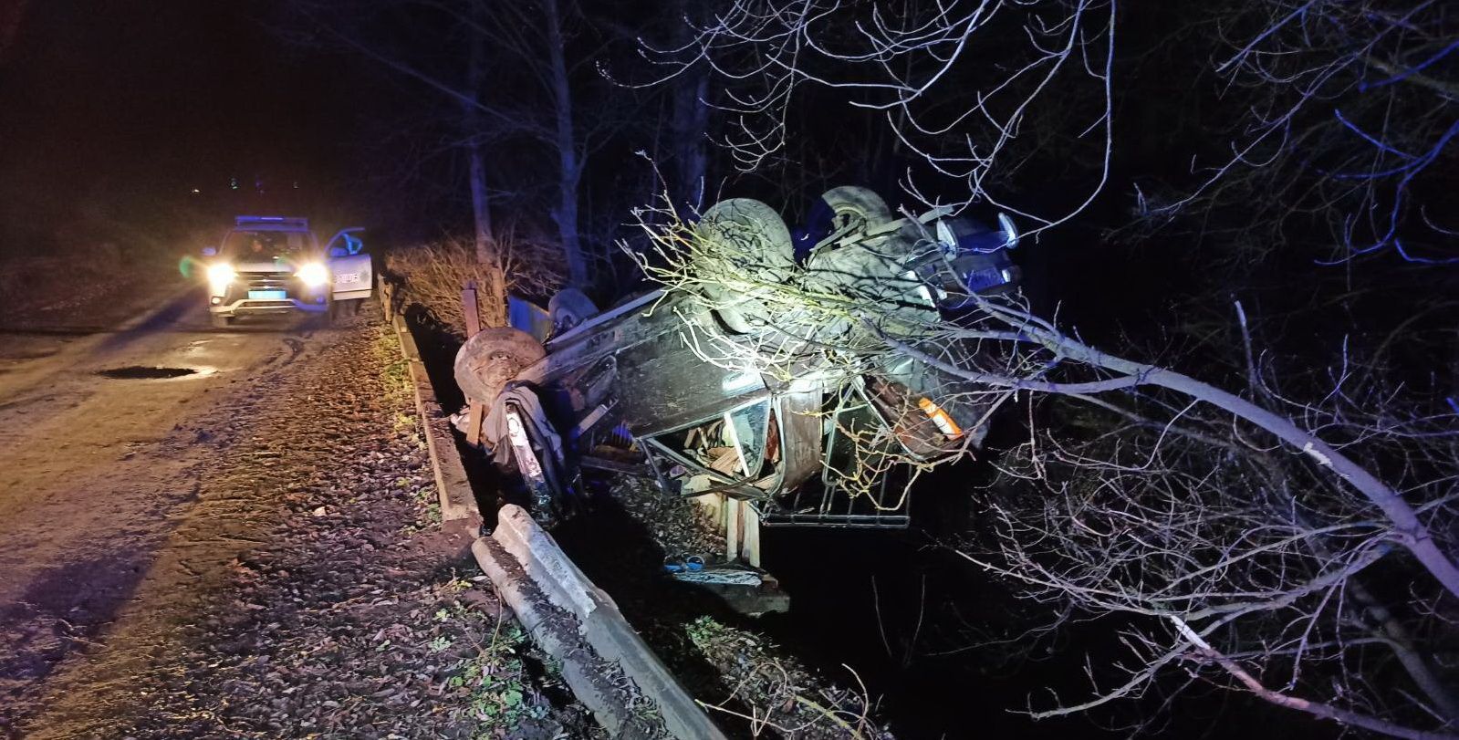 Аварія на Житомирщині: легковик злетів з моста