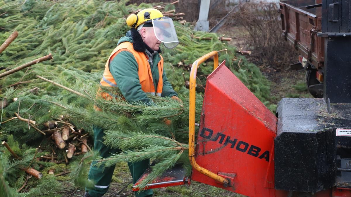 У Києві працюють пункти прийому ялинок