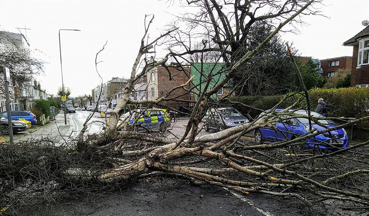 Шторм Белла пронісся Англією та Францією: фото, відео Шторм Белла пронісся Англією та Францією: фото, відео