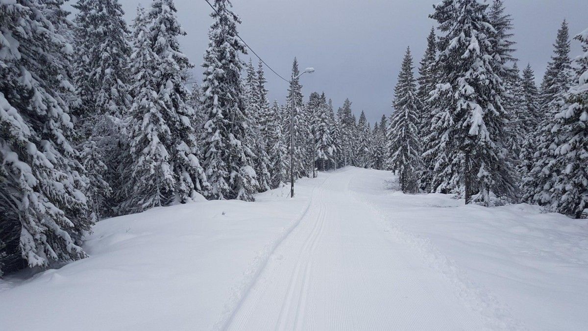 Погода 7 січня 2021: прогноз від синоптиків України Погода 7 січня 2021: прогноз від синоптиків України