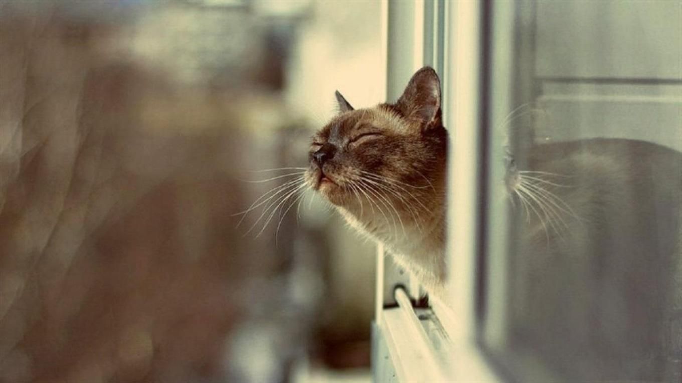 Погода 11 января 2021: прогноз от синоптиков Украины Погода 11 января 2021: прогноз от синоптиков Украины