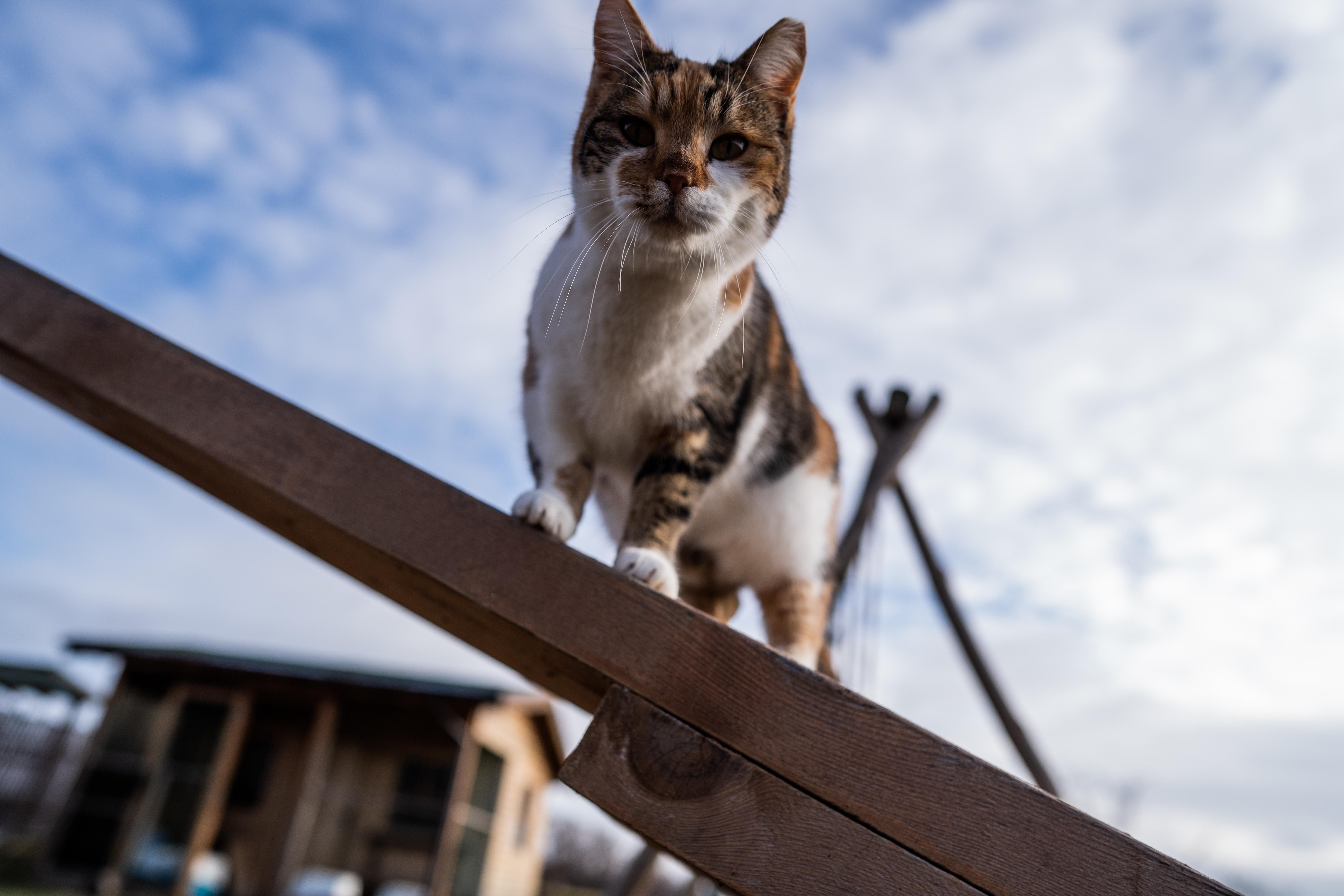 Погода 29 грудня 2020: прогноз від синоптиків України Погода 29 грудня 2020: прогноз від синоптиків України