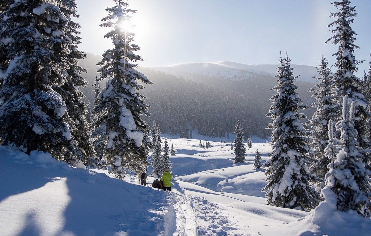 В Сибири аномально холодная зима: сильные морозы за 100 лет В Сибири аномально холодная зима: сильные морозы за 100 лет