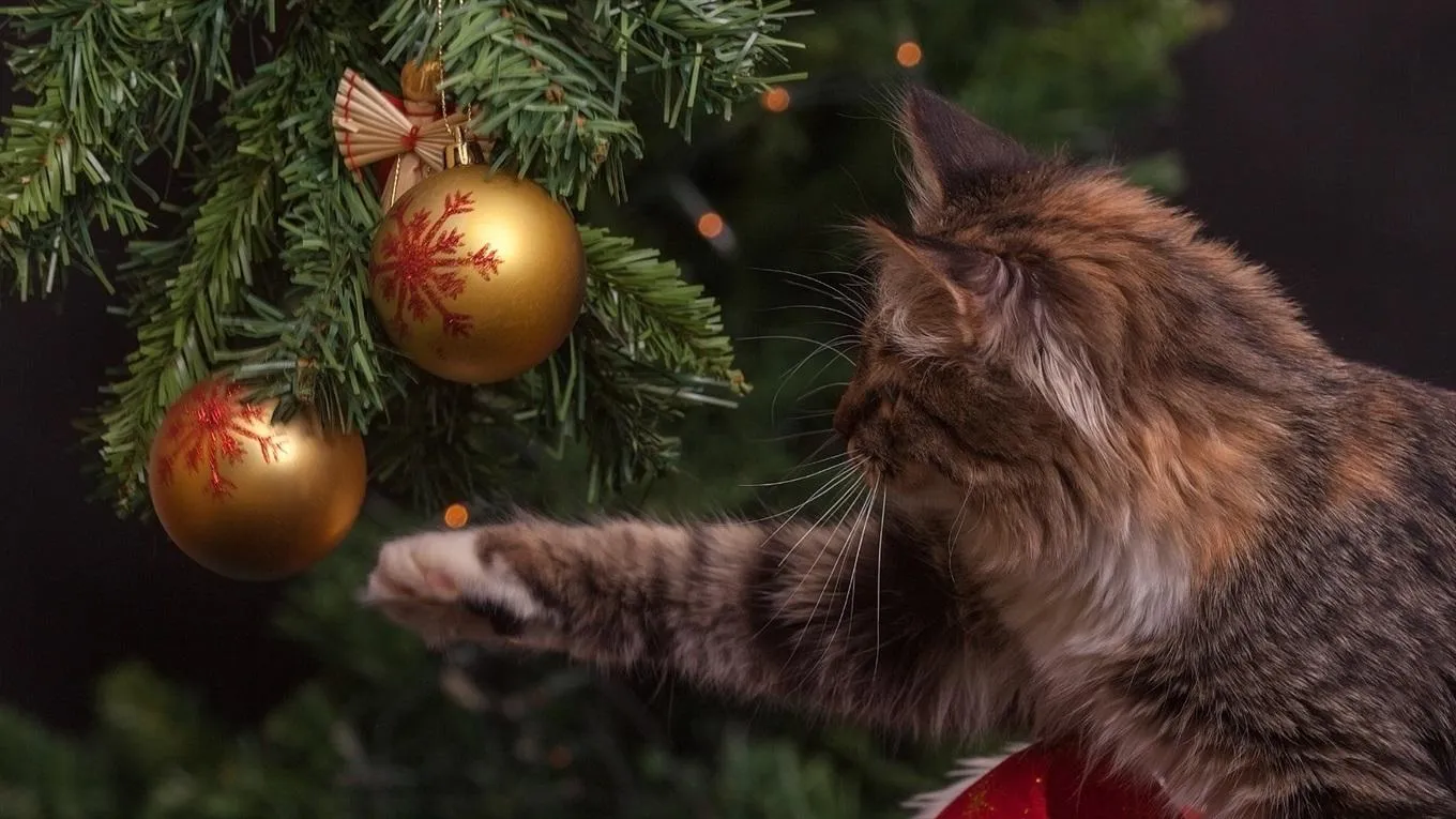 Привітання з Новим роком 2021 у прозі Привітання з Новим роком 2021 у прозі