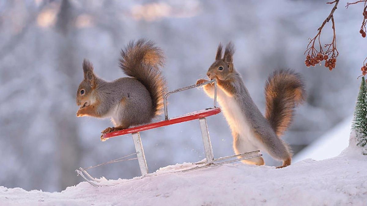 Прогноз погоди на січень 2021 року Прогноз погоди на січень 2021 року