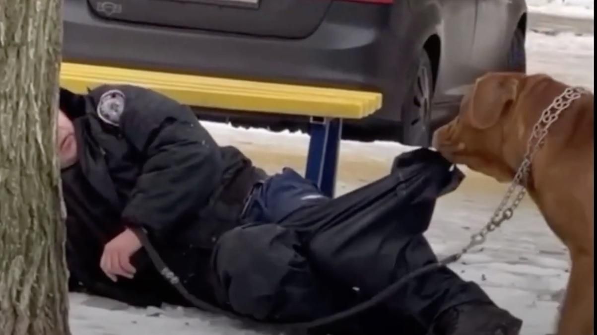 Як собака намагався врятувати свого п'яного господаря: кумедне відео Як собака намагався врятувати свого п'яного господаря: кумедне відео