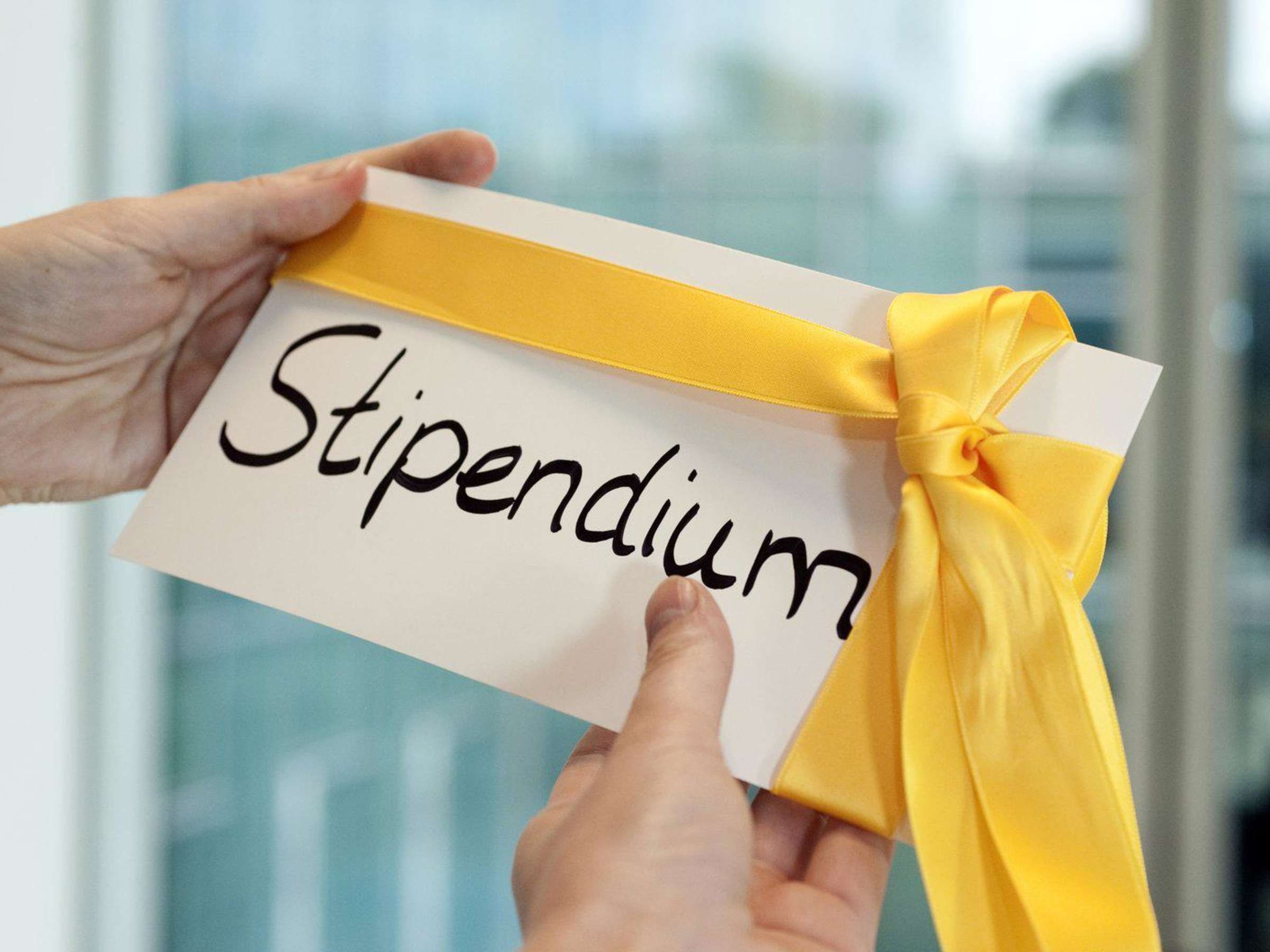 Стипендии педагогам в высшем образовании: сумма и кто их получит Стипендии педагогам в высшем образовании: сумма и кто их получит