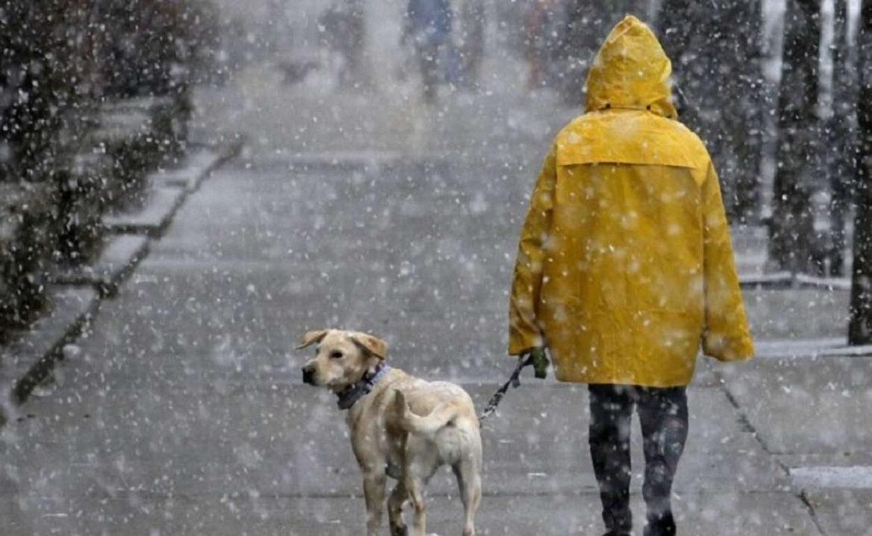 Дощ на Новий рік 2021: прогноз погоди у Львові та області на 31 грудня 2020 та 1 січня 2021 Дощ на Новий рік 2021: прогноз погоди у Львові та області на 31 грудня 2020 та 1 січня 2021