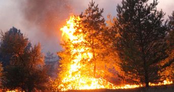 Пожежі на Луганщині: ТСК викликає Резнікова та хоче відсторонити главу луганської ДСНС