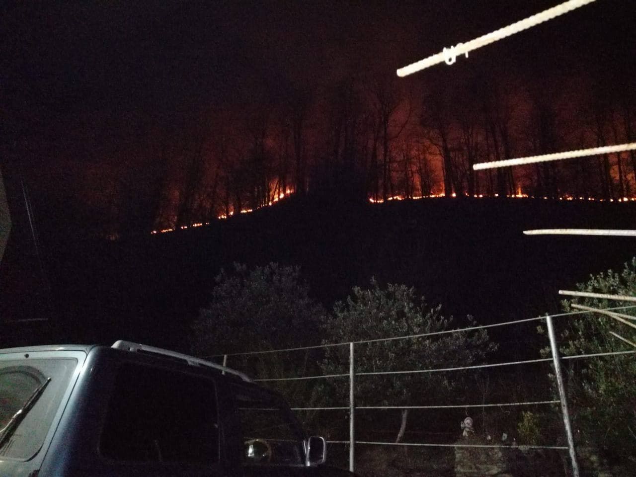 В России из-за фейерверков вспыхнул лесной пожар: видео
