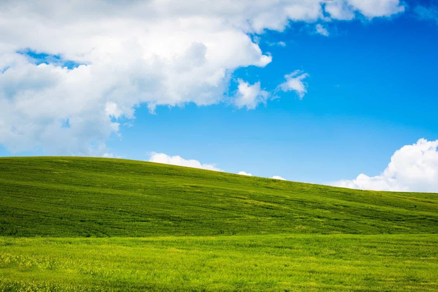 Самые популярные версии Windows Самые популярные версии Windows