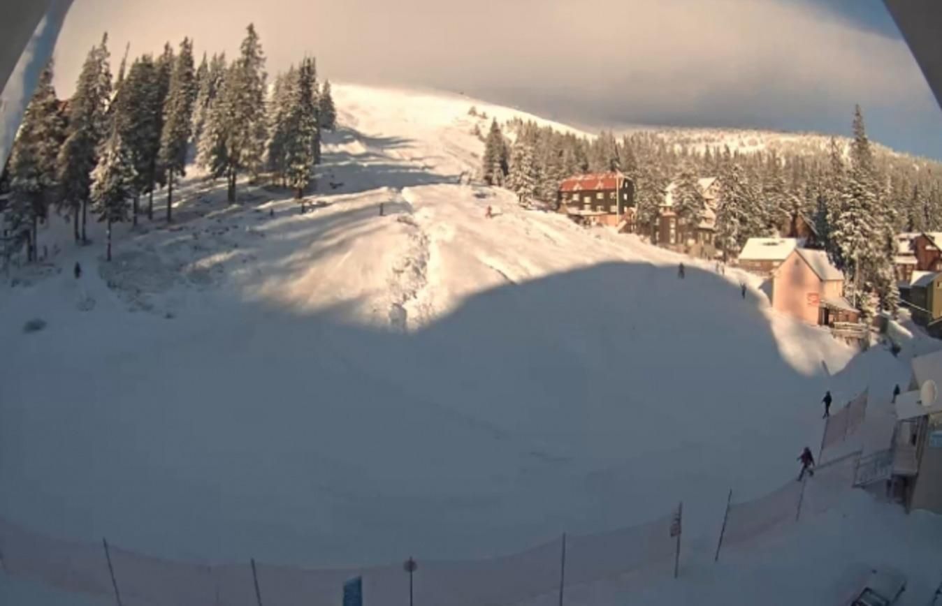 Украинские Карпаты замело снегом 2.01.2021: фото зимних пейзажей Украинские Карпаты замело снегом 2.01.2021: фото зимних пейзажей