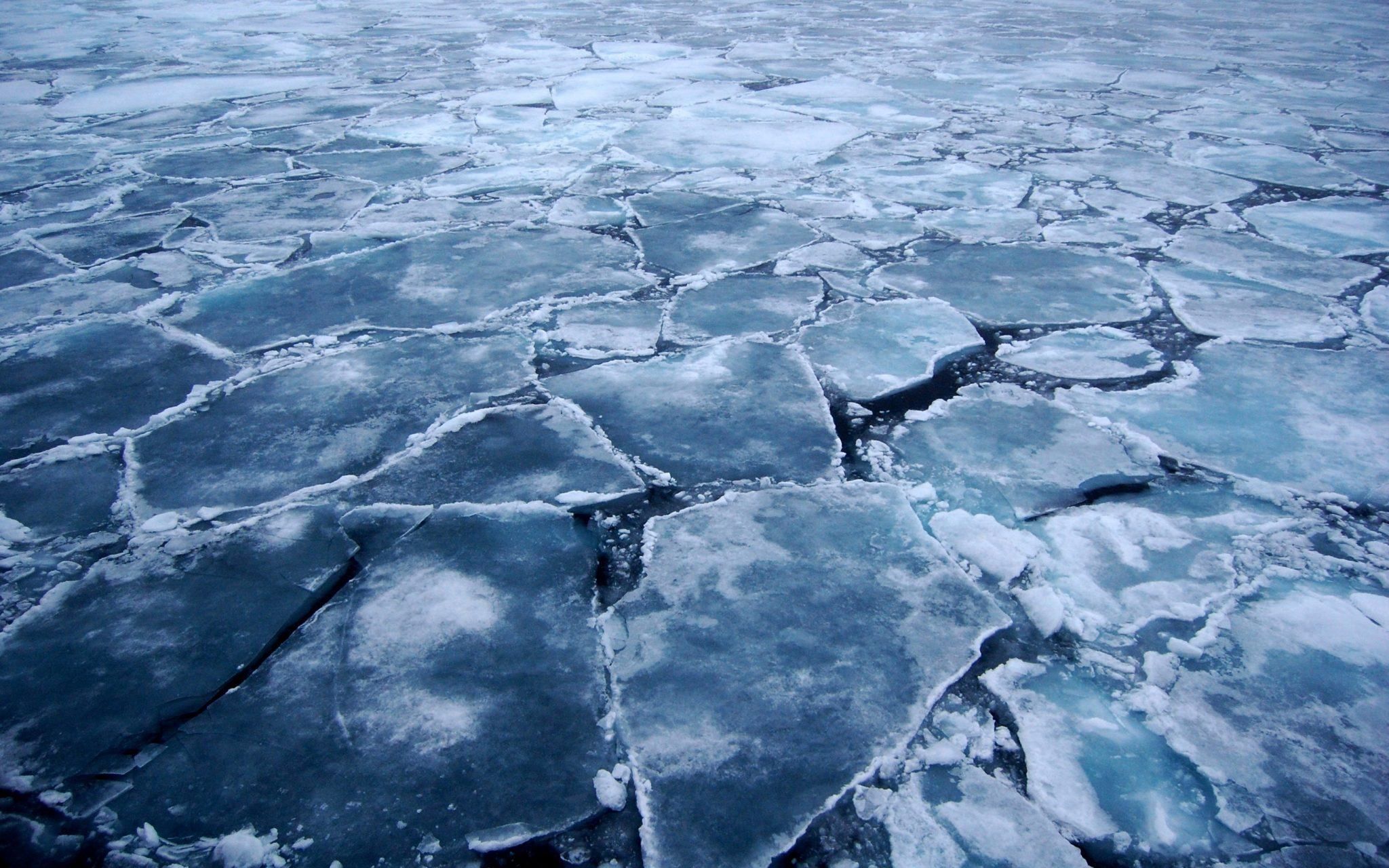 В Сумах спасли 2 мужчин, провалившихся под лед - видео