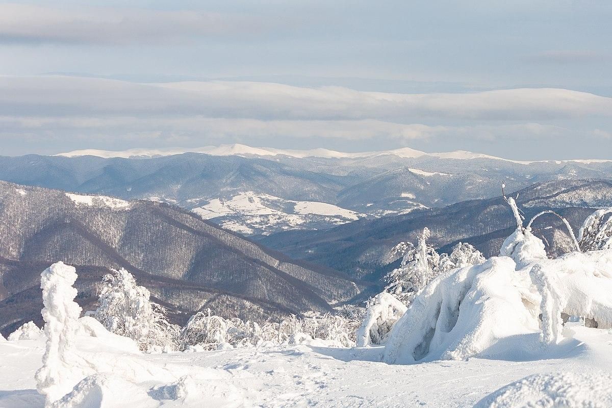 У горах біля Яремча заблукала туристка: її знайшли рятувальники – фото У горах біля Яремча заблукала туристка: її знайшли рятувальники – фото
