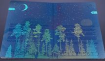В Эстонии будет новый волшебный дизайн паспорта: фото