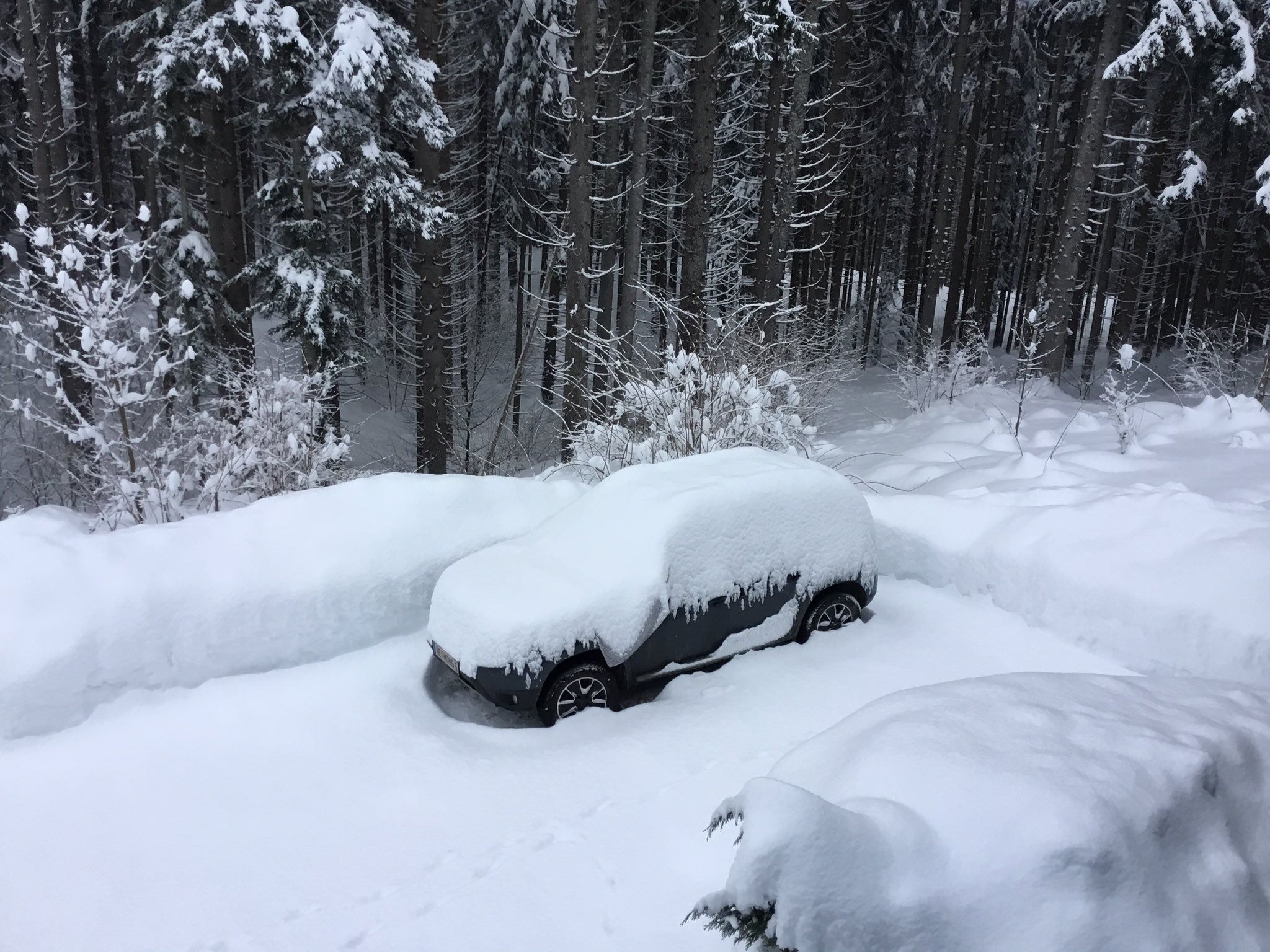 Австрію засипає снігом: заблоковані дороги, сходять лавини – фото