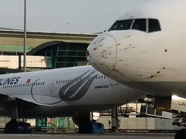 літак літак