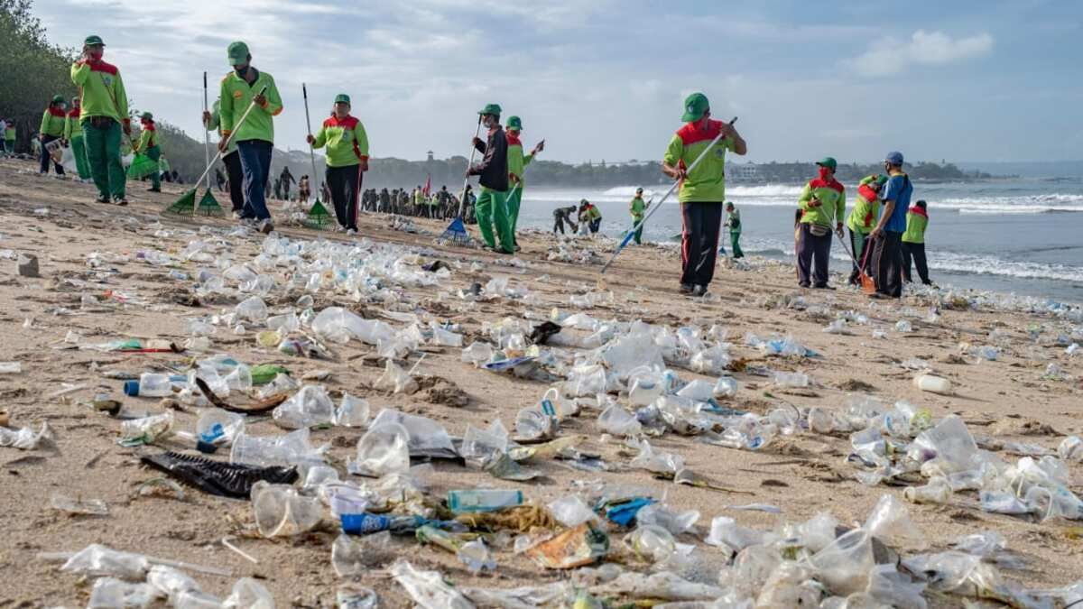 Самый популярный пляж на Бали очистили от 30 тонн мусора: фото