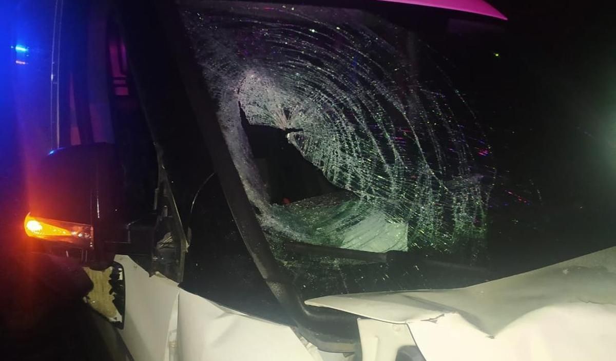 На Житомирщине Fiat насмерть сбил ребенка, один подросток в больнице На Житомирщине Fiat насмерть сбил ребенка, один подросток в больнице