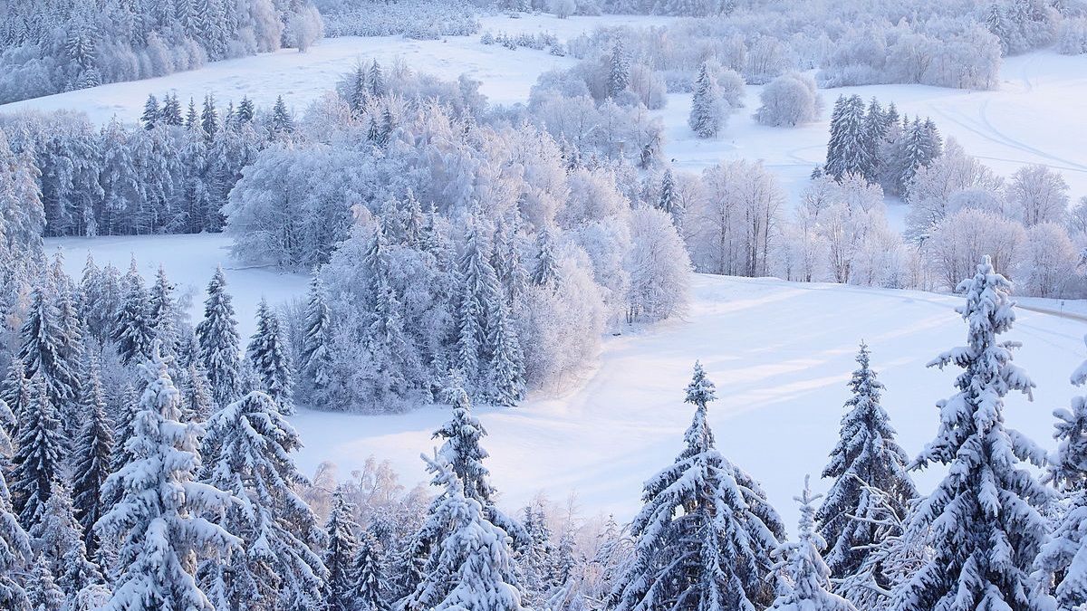 Коли закінчиться зима 2021 року: прогноз синоптиків Коли закінчиться зима 2021 року: прогноз синоптиків
